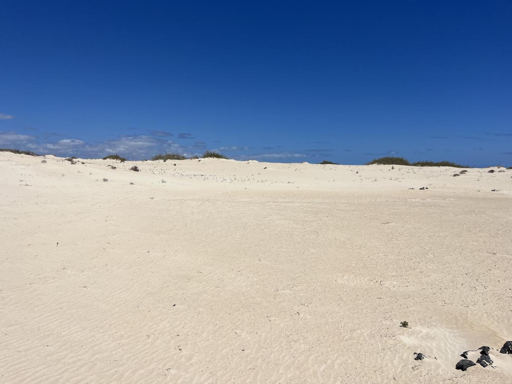 Villa Bf Paraiso De Tranquilidad Villaverde  Eksteriør billede